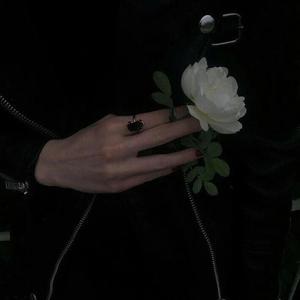 日本男同性恋色情在线视频
